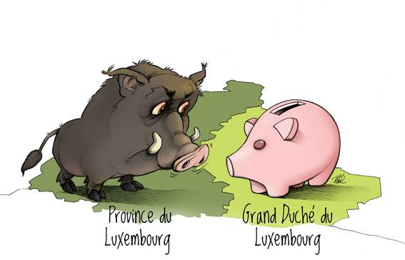 Concours Sanglier ardennais – BIPC 2013